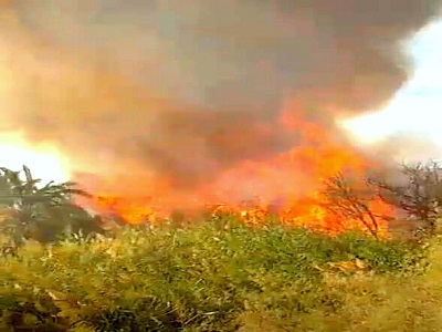 السيطرة على حريق نشب بمنطقة زراعات جافة بالوادى الجديد.صور