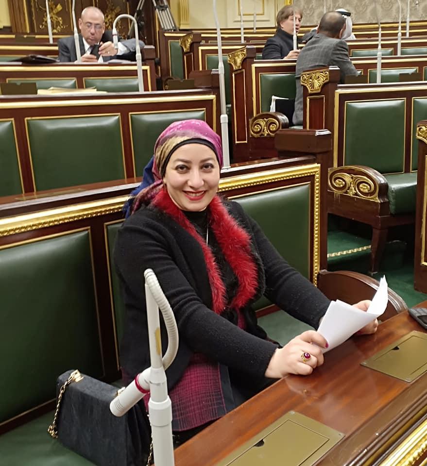 حلاوة: تعيين المرأة في منصب نائب الرئيس لاقى قبولًا برلمانيًا واسعًا