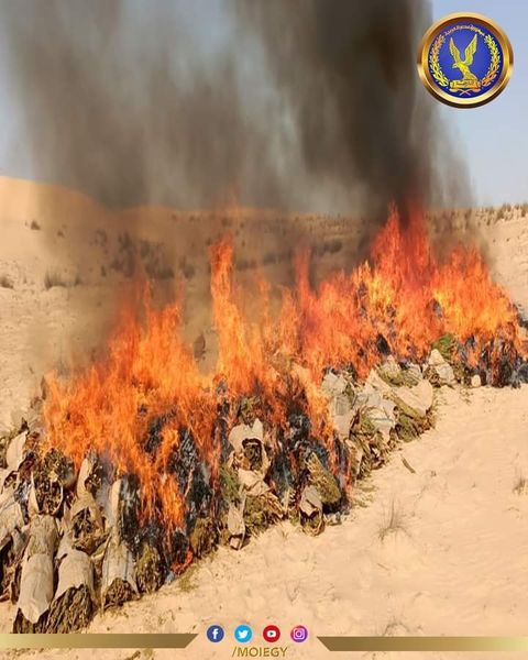  الداخلية تحاصر تجار الكيف.. إعدام 13 طن مخدرات في صحراء الإسماعيلية