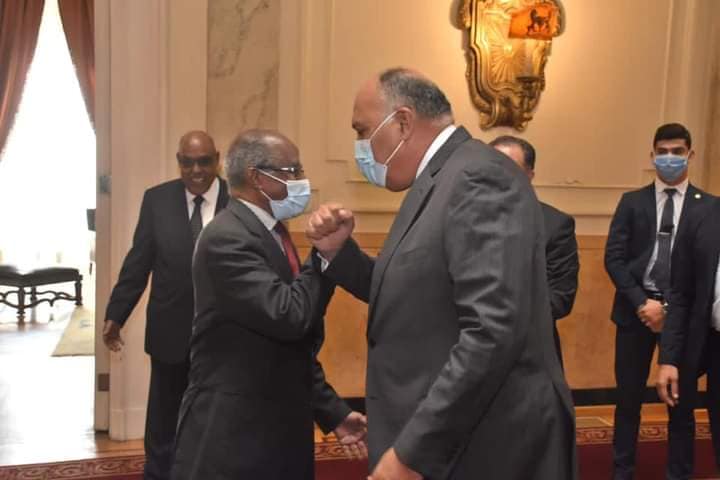 شكري يبحث التطورات الأخيرة في القرن الأفريقي مع وزير خارجية إريتريا والمستشار السياسي للرئيس الإريتري.