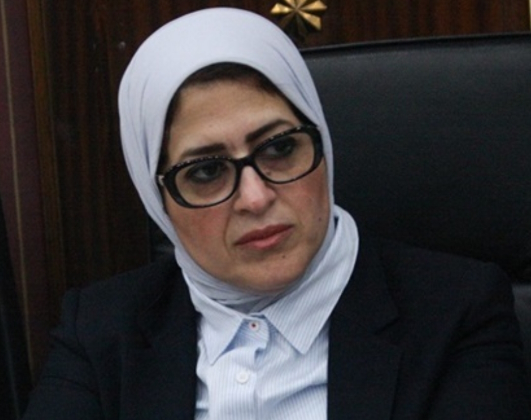 قالت الدكتورة هالة زايد، وزيرة الصحة والسكان، إن الوزارة طبقت الإجراءات الصحية على حوالى 300 أسرة فى محافظة الدقهلية 